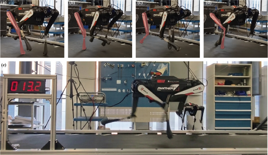 BlackPanther2 quadruped running at high speed on a treadmill